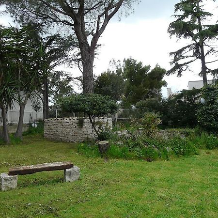 B&B Villa Garden Bisceglie Exterior foto