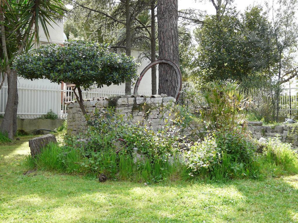 B&B Villa Garden Bisceglie Exterior foto